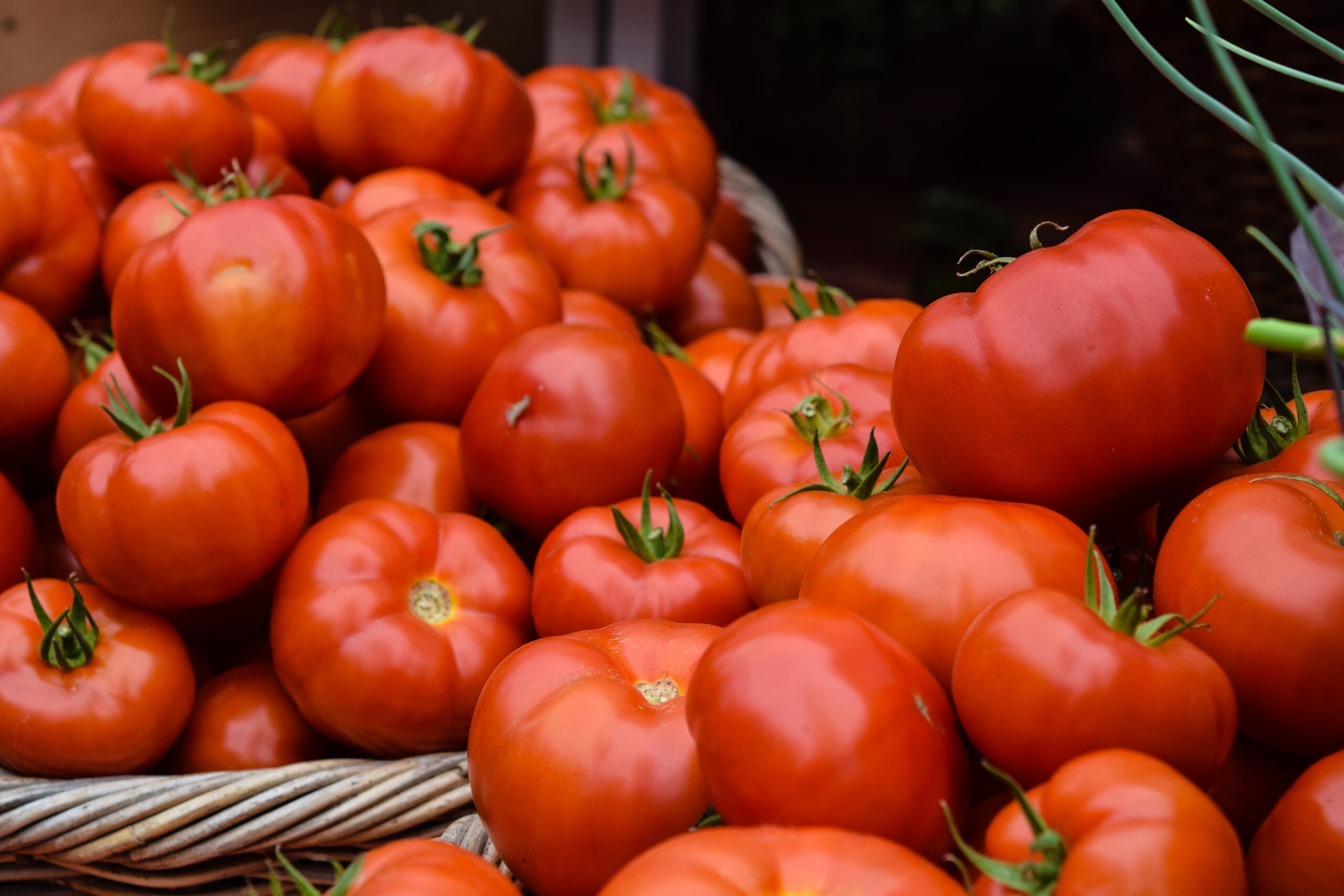Tomatoes fruit and vegetable products flow packed packaged Redpack Packaging machinery Tomatoes fruit and vegetable products flow packed packaged Redpack Packaging machinery